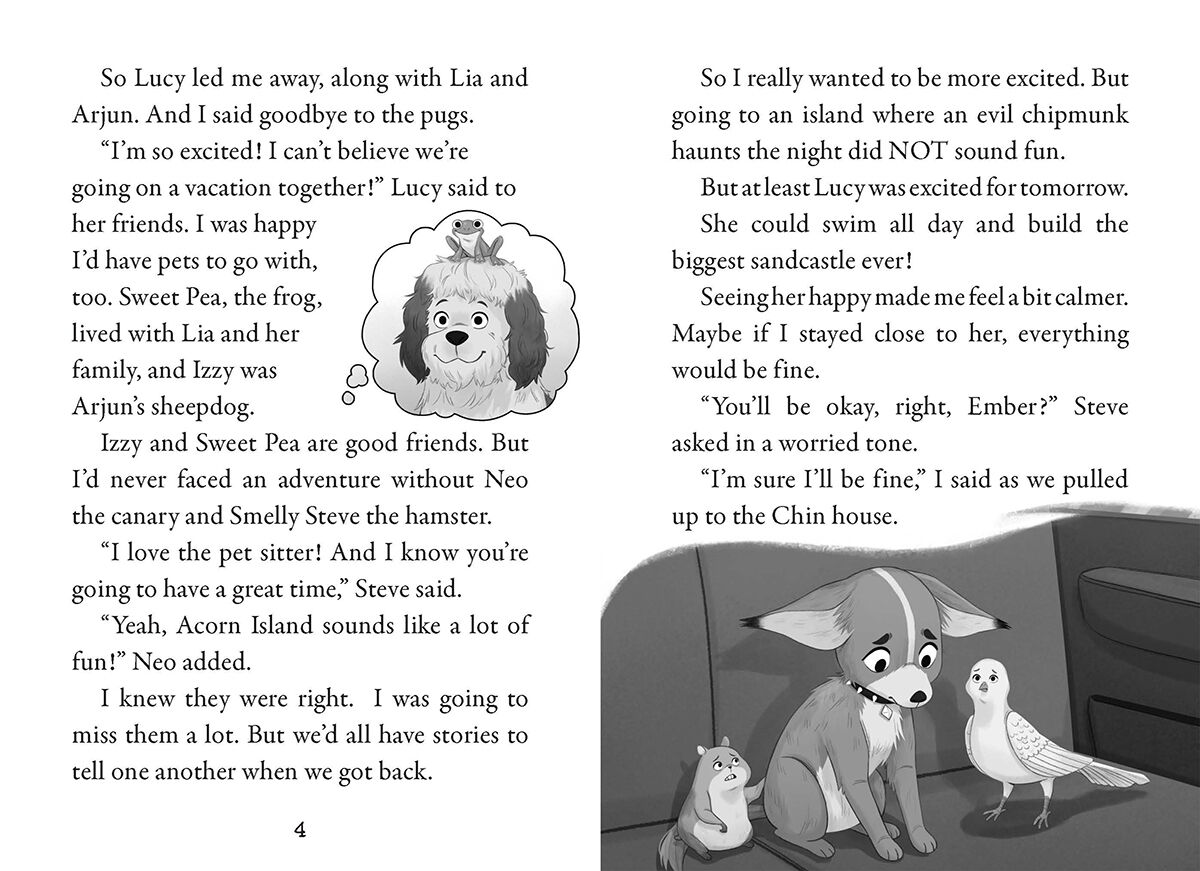 Pets Rule! #6: The Night of the Chipmunk image number 3