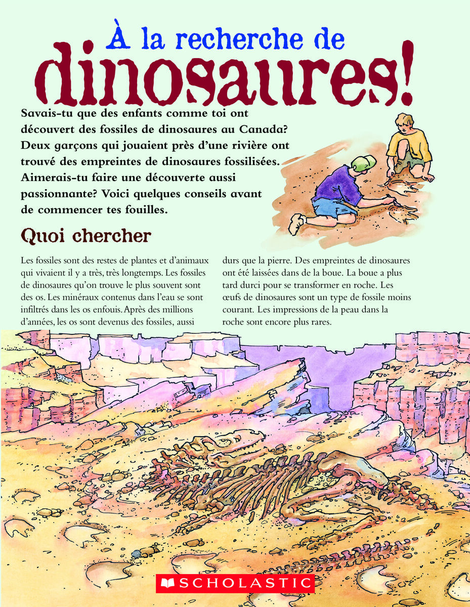 Envol en litt&eacute;ratie Biblioth&egrave;que nivel&eacute;e: Niveaux R-T image number 7