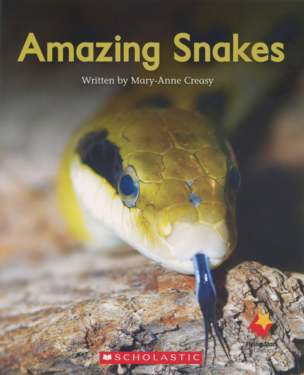 Flying Start: Level I: Amazing Snakes/Snake Olympics 12 Pack image number 1