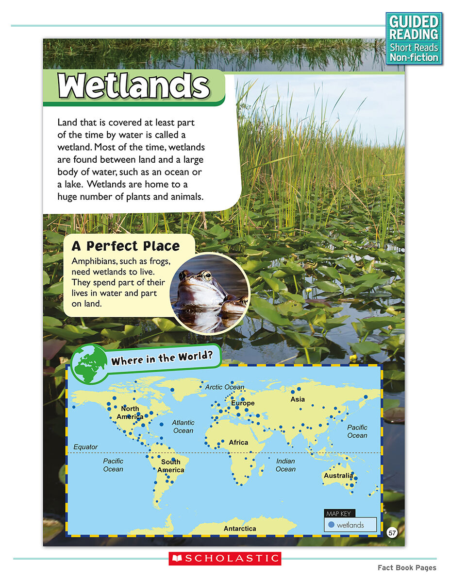 Guided Reading Short Reads Non-fiction Level Q Complete Pack image number 5