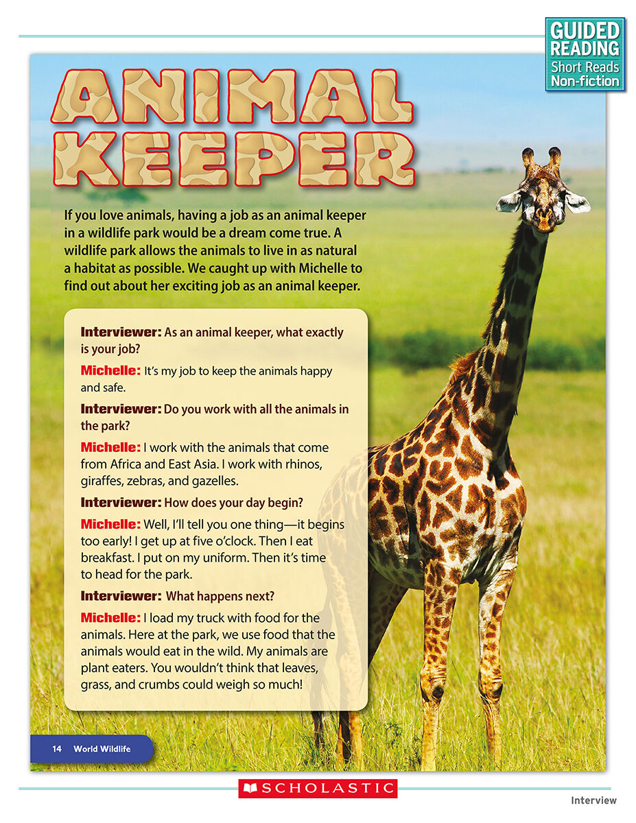 Guided Reading Short Reads Non-fiction Level P Complete Pack image number 5