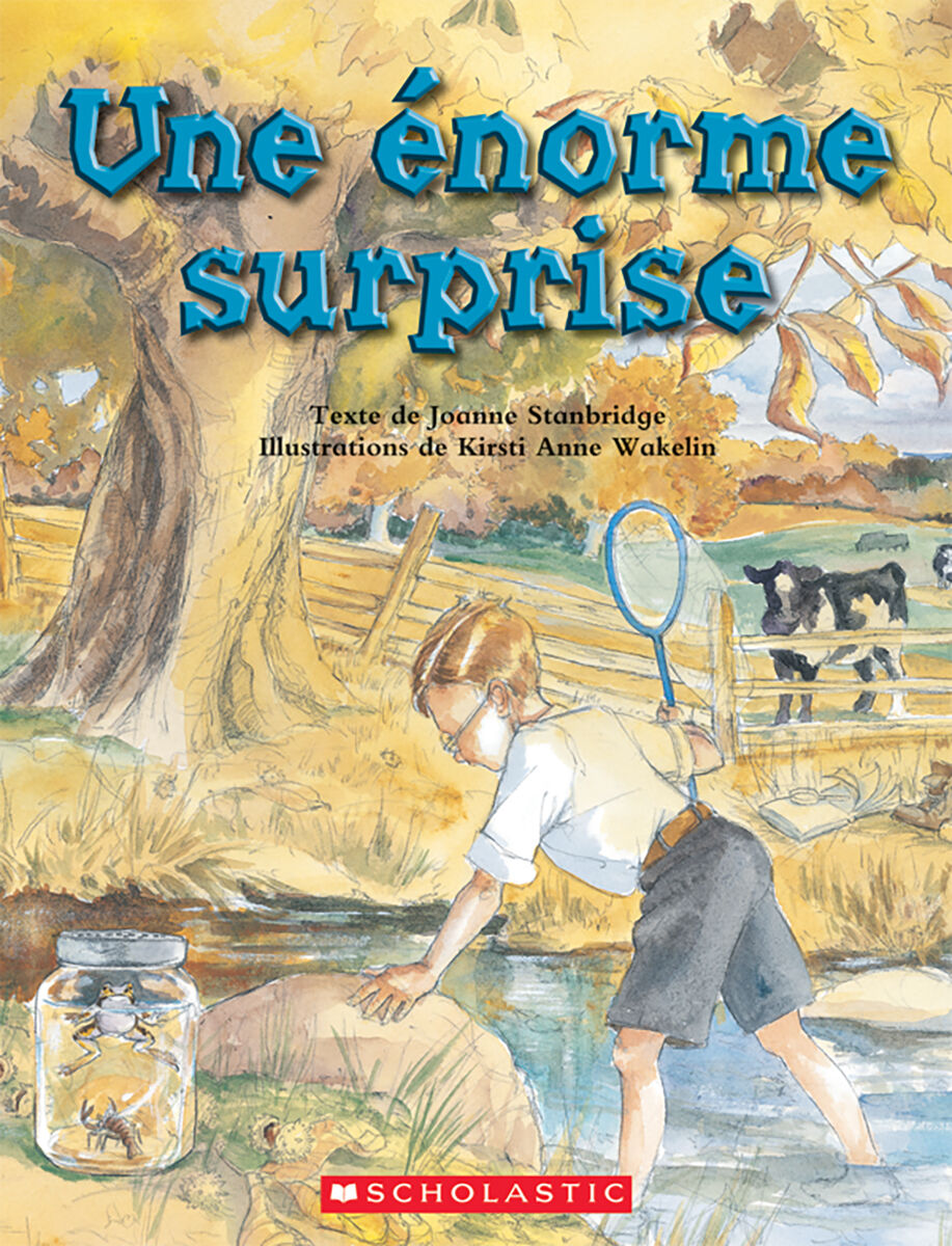 Envol an litt&eacute;ratie 2e &agrave; 4e ann&eacute;e: Niveau O: Une &eacute;norme surprise Emballage de 6 image number 0