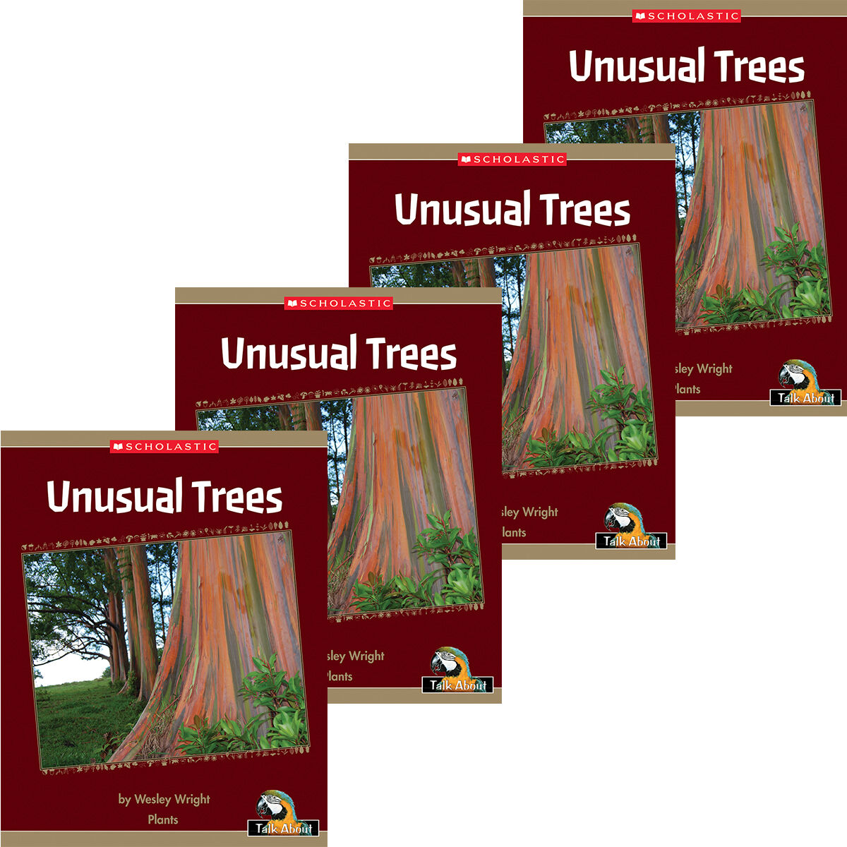 Talk About The Natural World: Plants: Unusual Trees 4 Pack image number 0