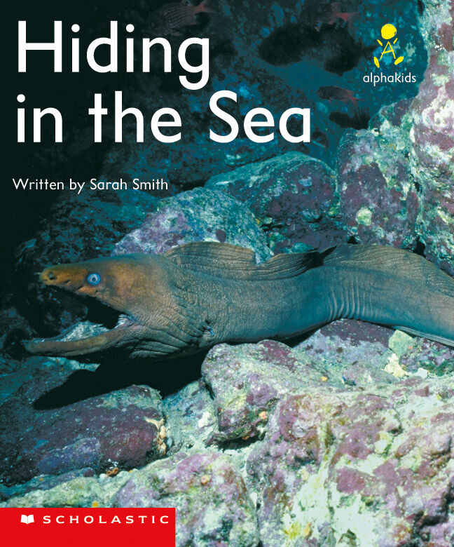 Alphakids: Set 2, Level 8 (E): Hiding in the Sea 6 Pack image number 1