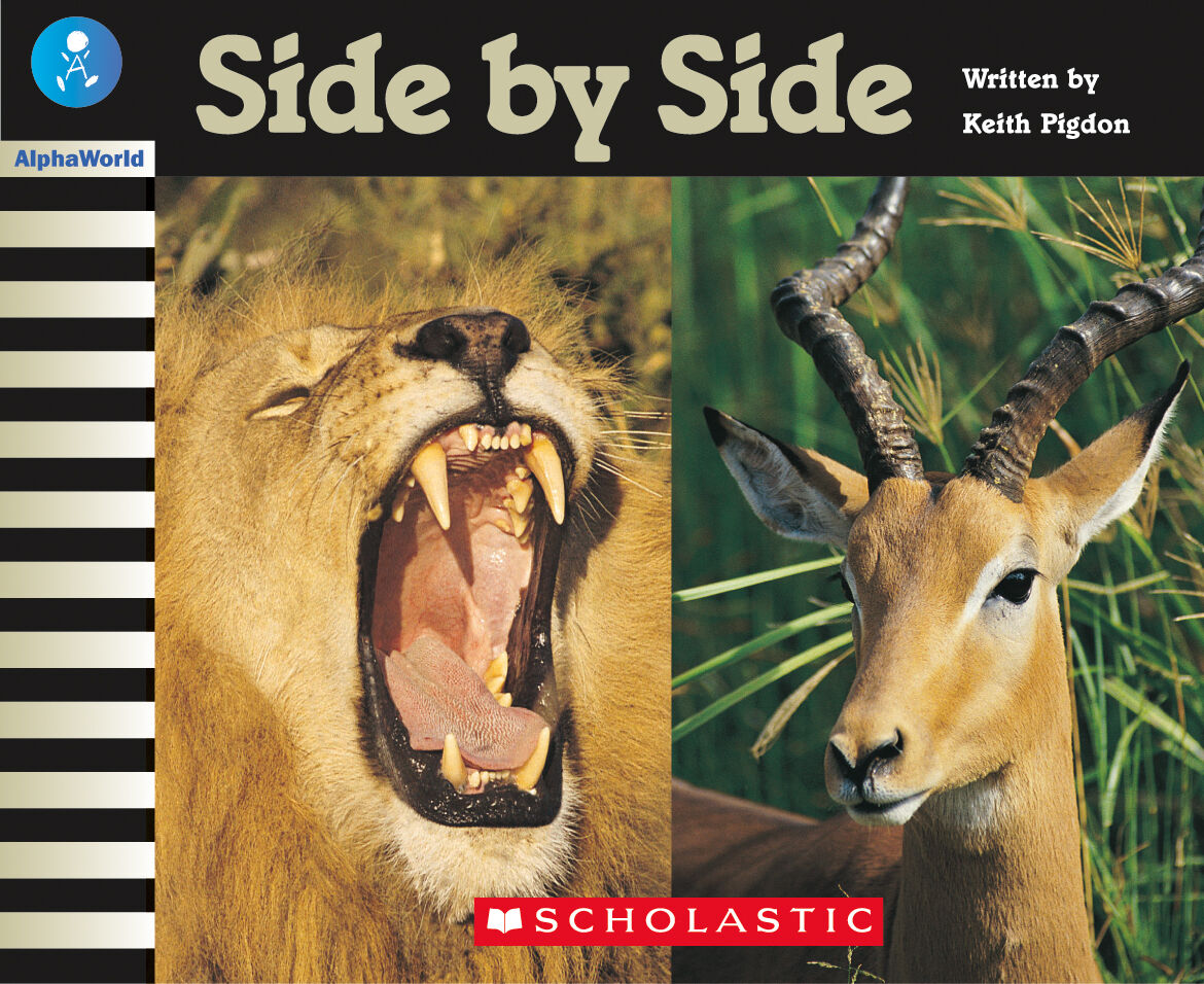 AlphaWorld: Level 24 (L) Multi-pack image number 1