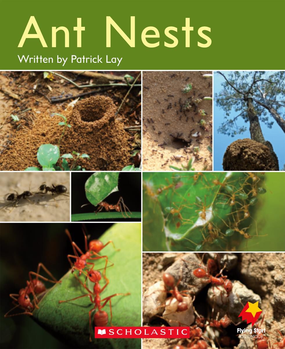 Flying Start: Level D Library pack image number 7