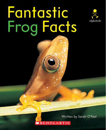 Alphakids: Set 2, Level 16 (I) Multi-pack image number 3