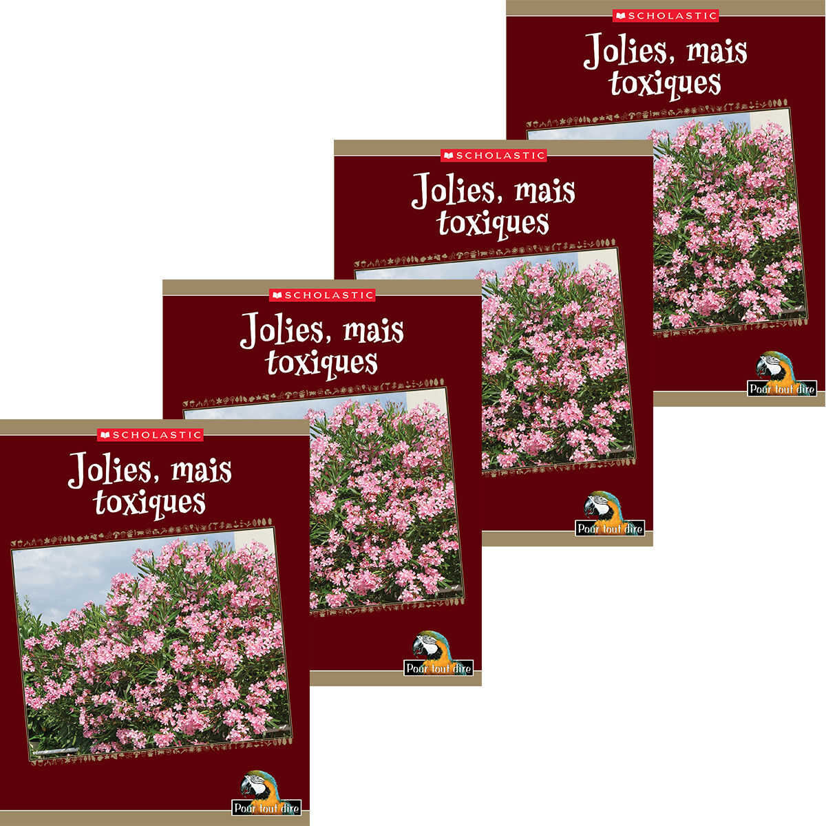 Pour tout dire: Le monde naturel: Les plantes: Jolies, mais toxiques Emballage de 4 image number 0