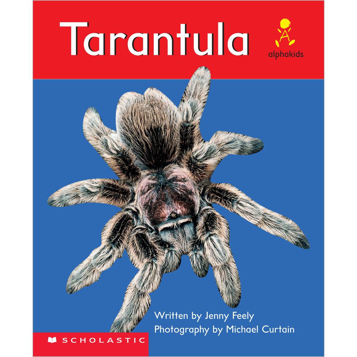 Alphakids: Set 1, Level 11 (G): Tarantula 6 Pack