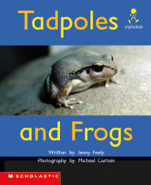 Alphakids: Set 1, Level 5 (D): Tadpoles and Frogs 6 Pack image number 1