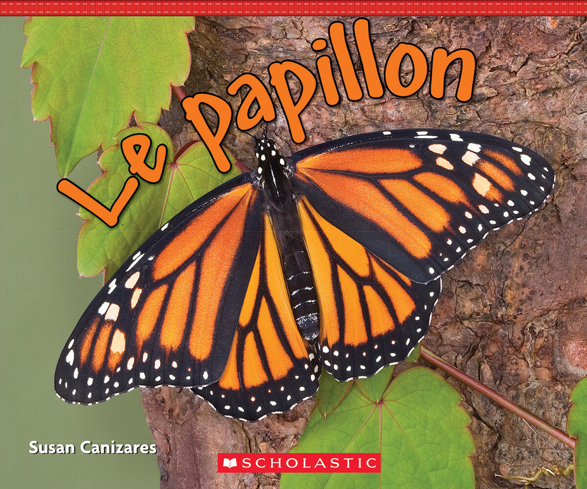 Jour apr&egrave;s jour : Collections toutes faites : Les faits sur les animaux image number 1