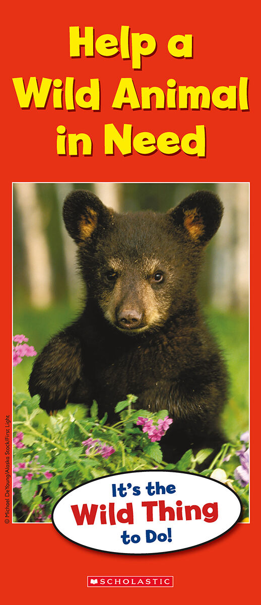 LPEY Levelled Libraries: Level M image number 6