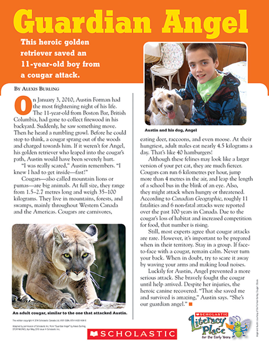 Literacy Place PLUS Grade 2: Level M: Guardian Angel 6 Pack