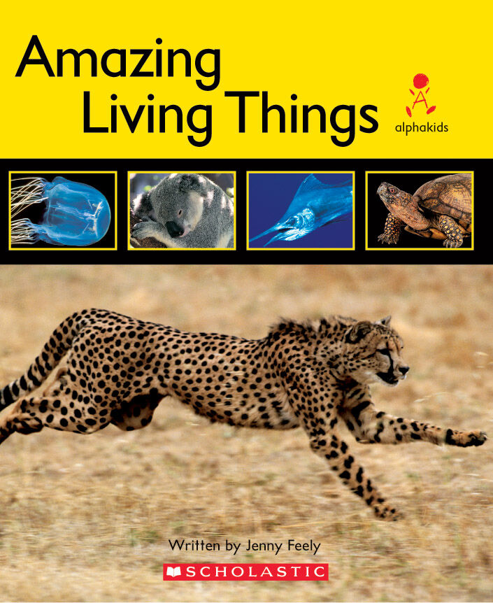 Alphakids: Set 2, Level 21 (K) Library Pack image number 5