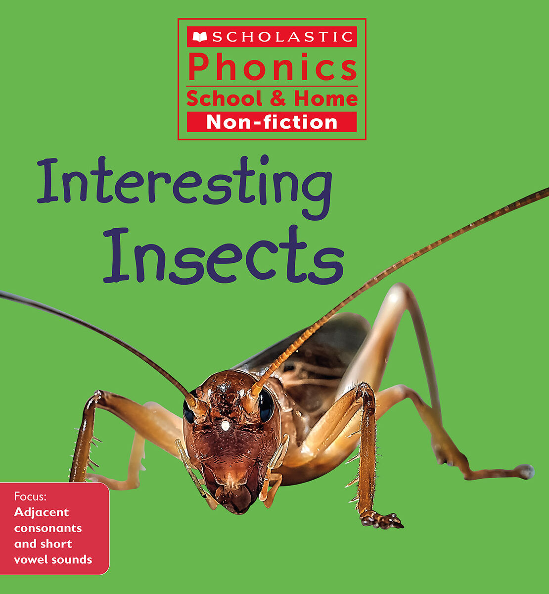 Scholastic Phonics School & Home Non-fiction Collection 2: Sets 5-8 image number 9