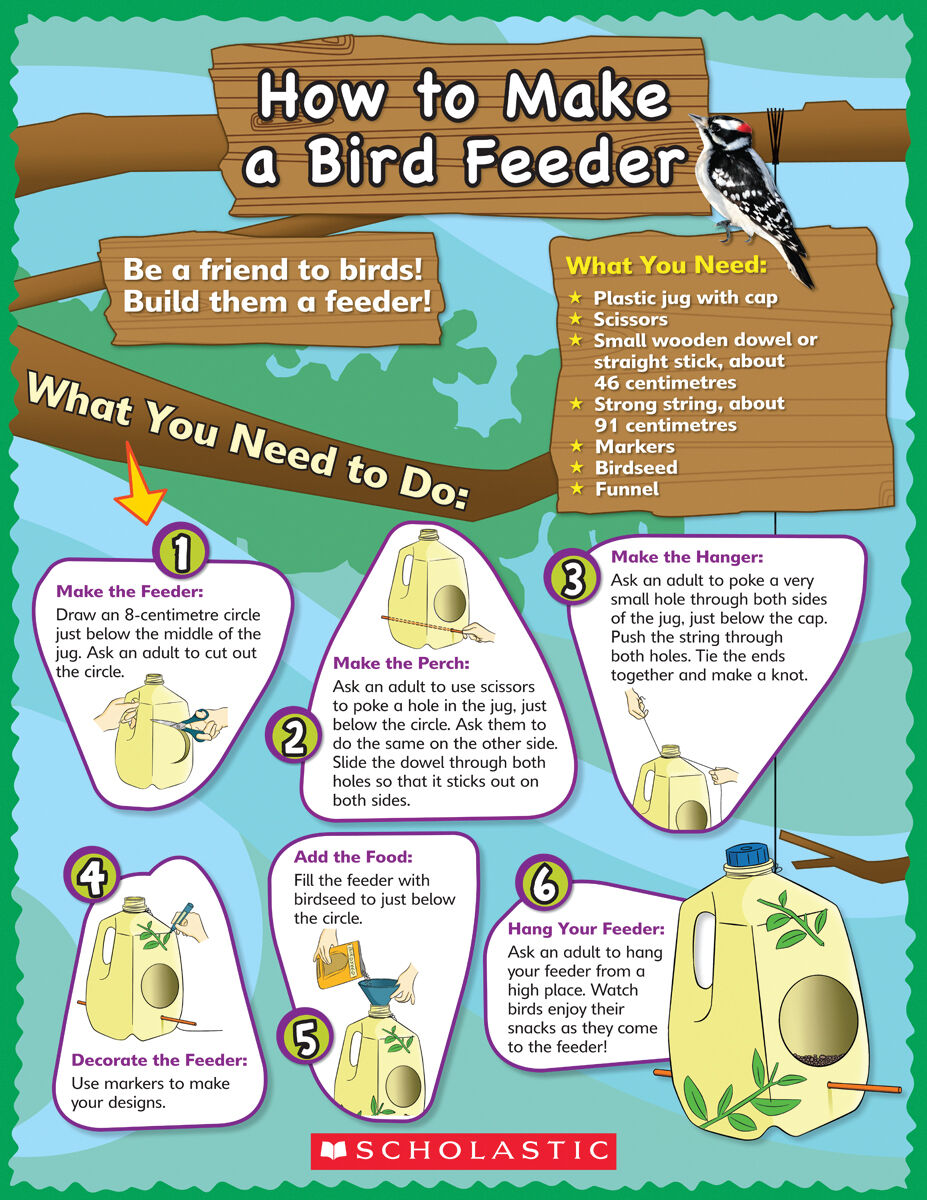 Literacy Place PLUS Grade 2 Guided Reading Collection image number 6