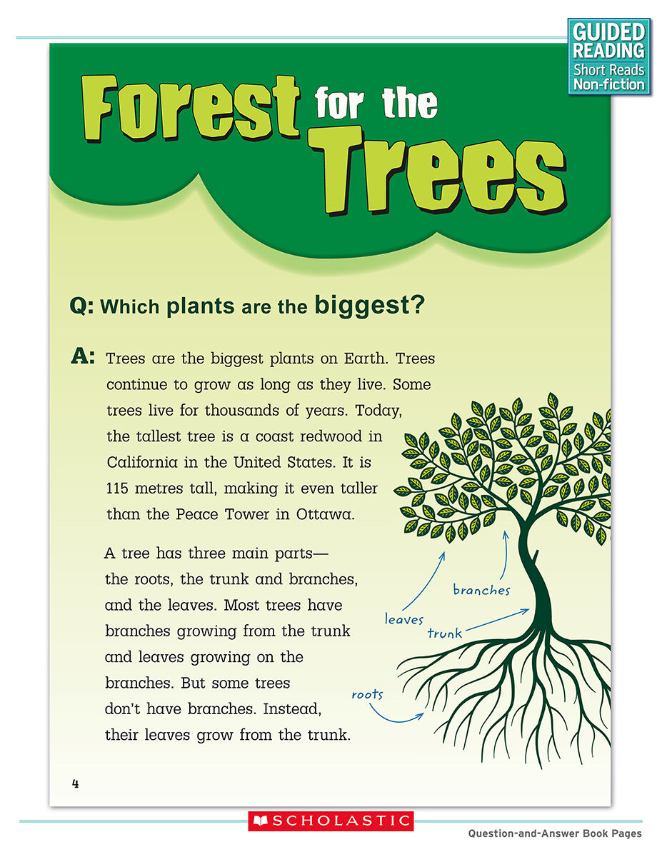 Guided Reading Short Reads Non-fiction Level Q Complete Pack image number 2