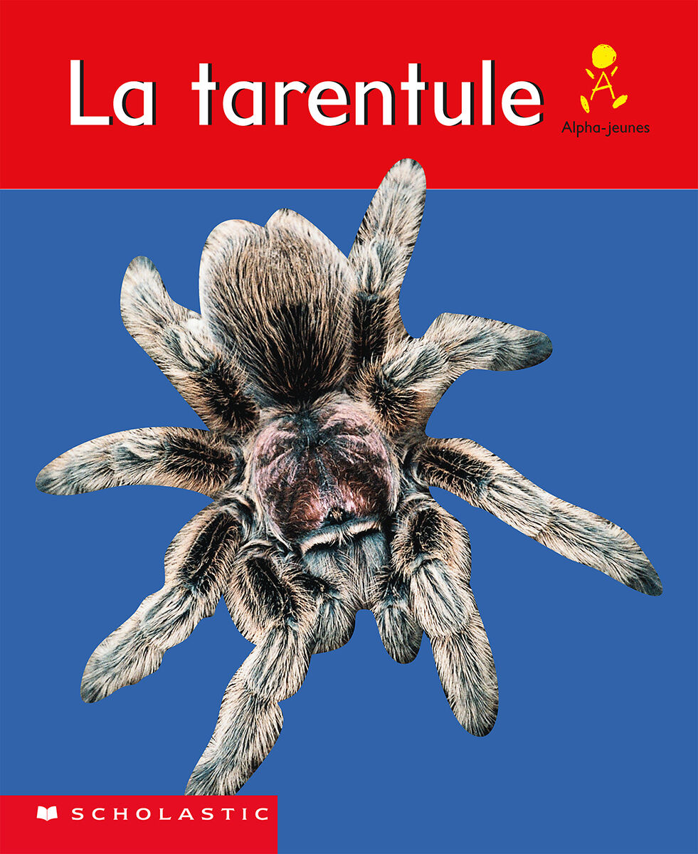 Alpha-jeunes: S&eacute;rie 1, Niveau 11 (G) Emballage image number 3