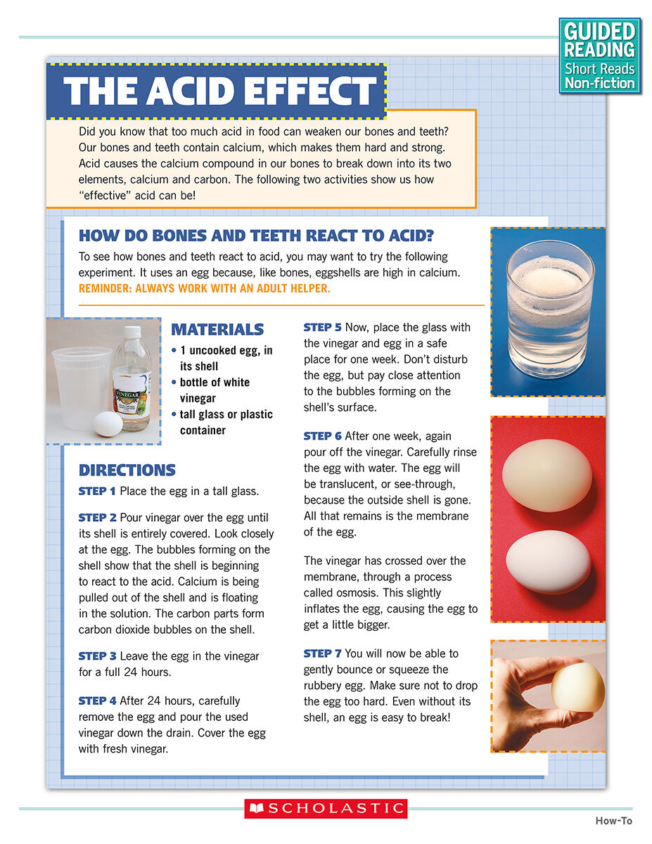 Guided Reading Short Reads Non-fiction Level V Complete Pack image number 5