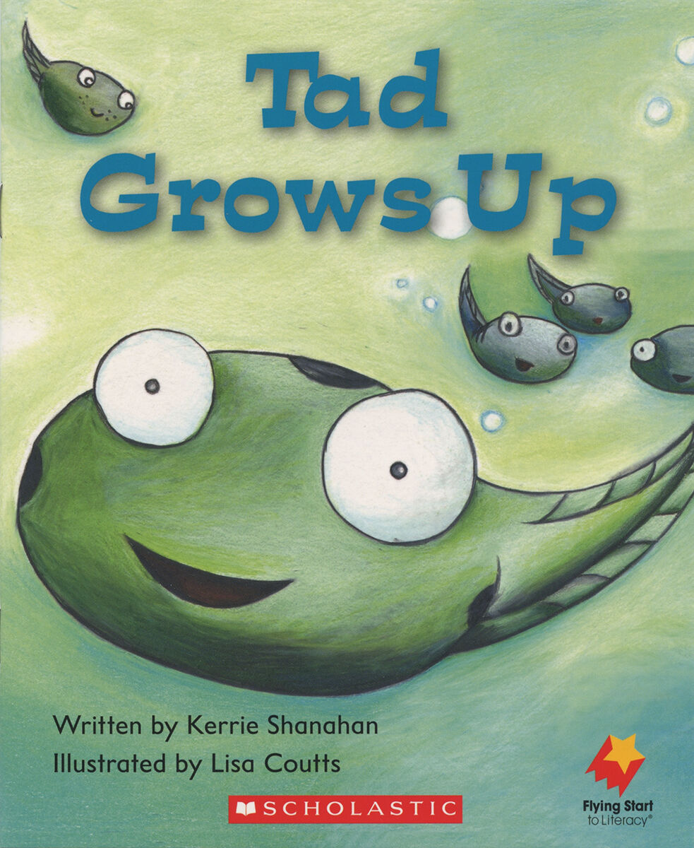 Flying Start: Level D: What Am I?/Tad Grows Up 12 Pack image number 2