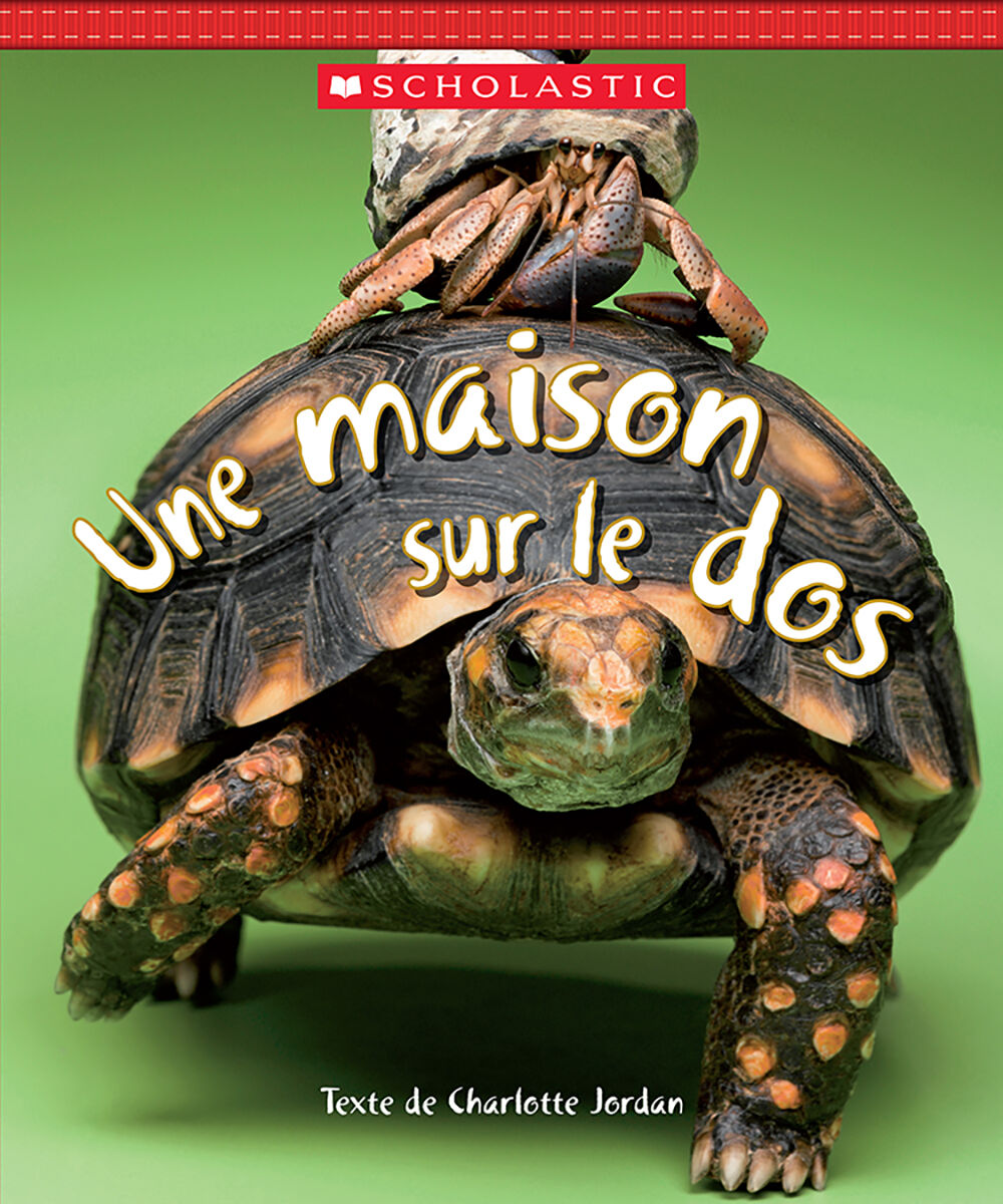Jour apr&egrave;s jour : Collections toutes faites : Les faits sur les animaux image number 7