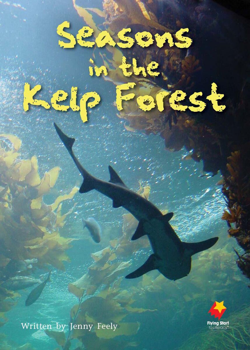 Flying Start: Level O: Seasons in the Kelp Forest/Thunder Cave 12 Pack image number 2