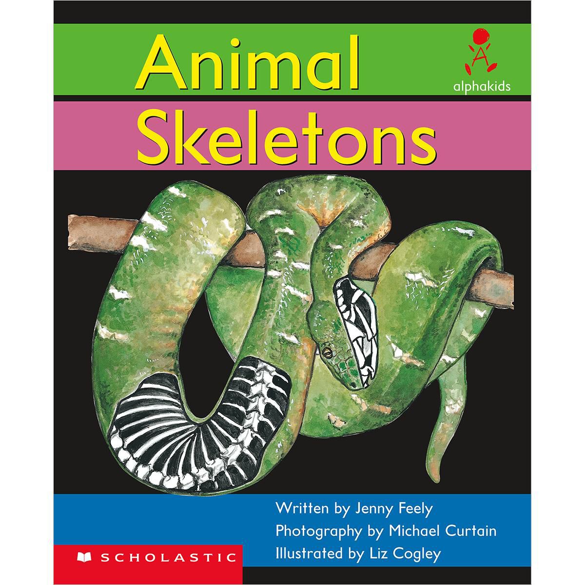 Alphakids: Set 1, Level 7 (E): Animal Skeletons 6 Pack image number 0