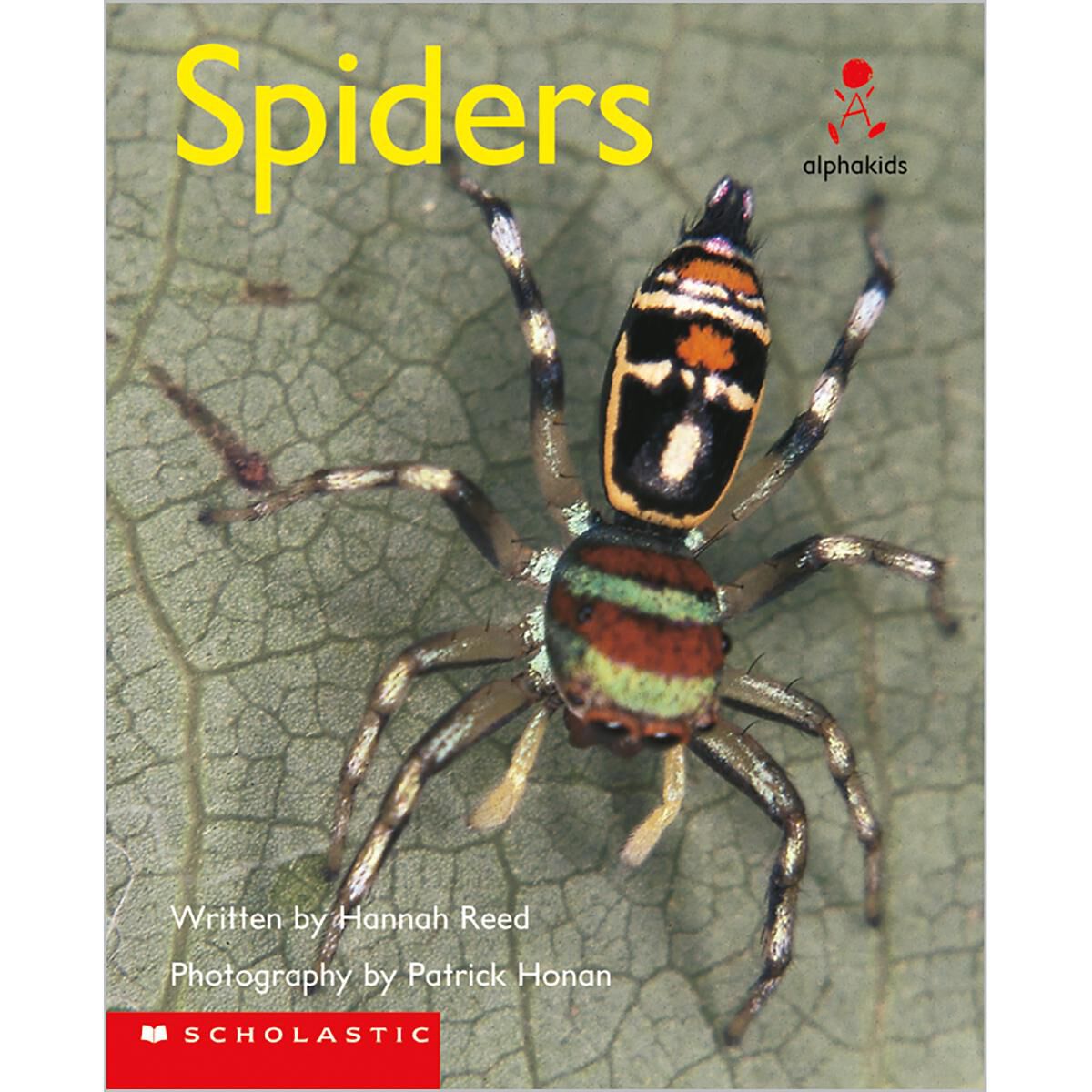 Alphakids: Set 2, Level 11 (G): Spiders 6 Pack image number 0