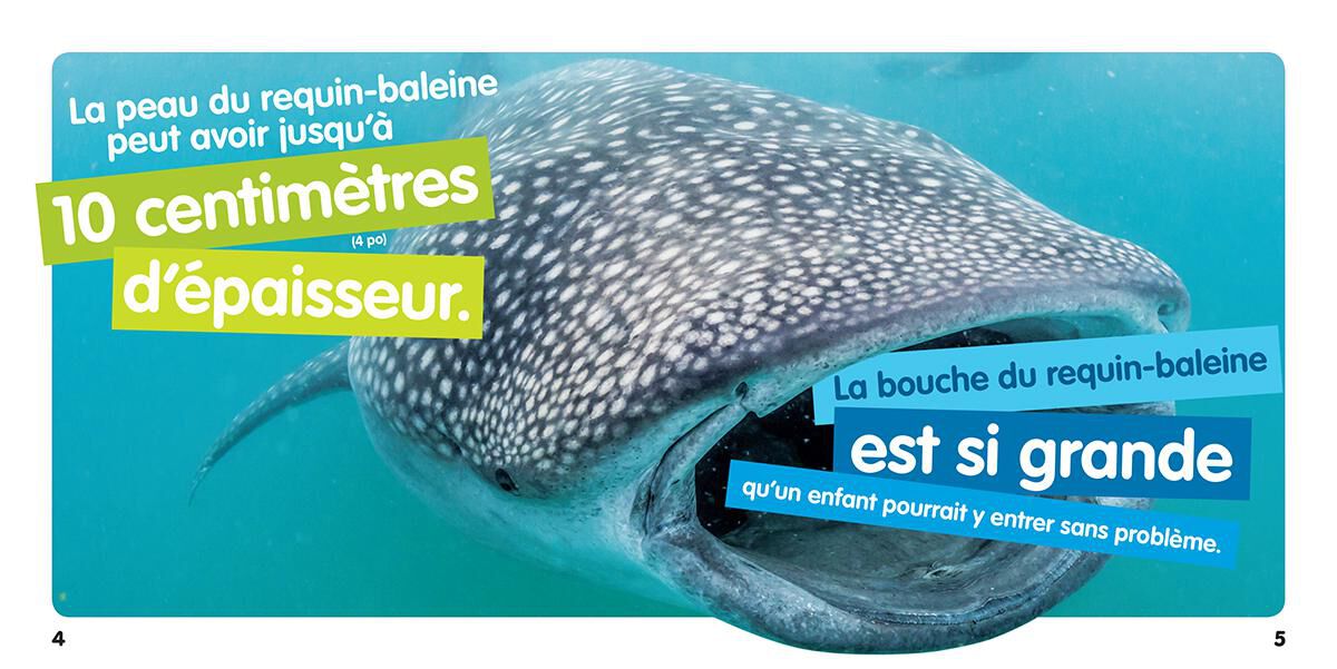 National Geographic Kids : Bizarre mais vrai! Les oc&eacute;ans image number 1