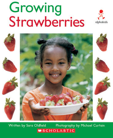 Alphakids: Set 2, Level 13 (H): Growing Strawberries 6 Pack image number 1