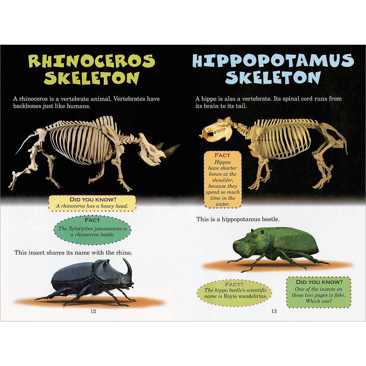 Who Would Win? Rhino vs. Hippo image number 1