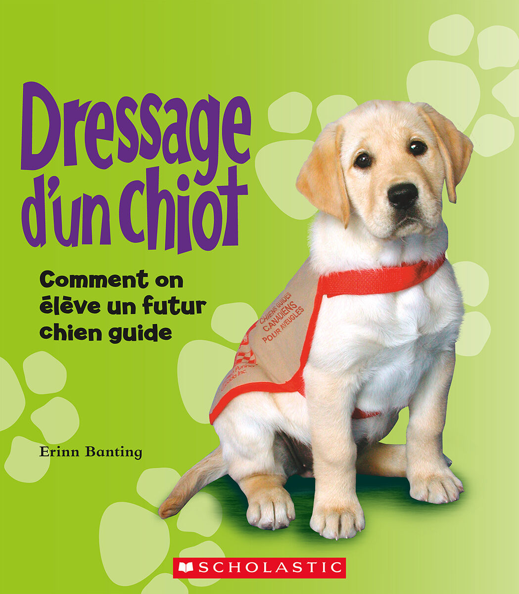J&rsquo;avance en litt&eacute;ratie 4e &agrave; 8 ann&eacute;e: Niveau O: Dressage d'un chiot Emballage de 6 image number 0