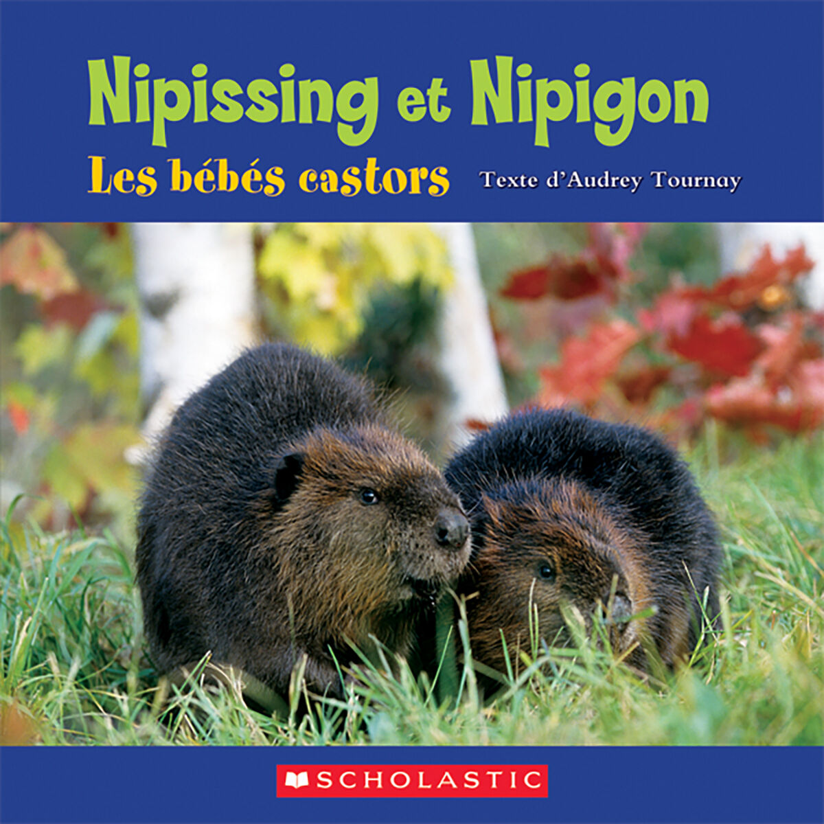 Envol an litt&eacute;ratie 2e &agrave; 4e ann&eacute;e: Niveau P: Nipissing et Nipigon - Les b&eacute;b&eacute;s castors Emballage de 6