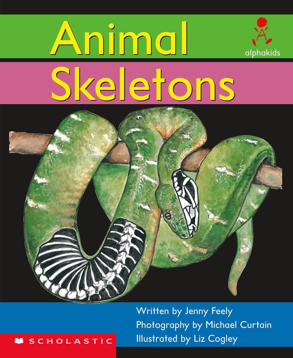 Alphakids: Set 1, Level 7 (E): Animal Skeletons 6 Pack image number 1
