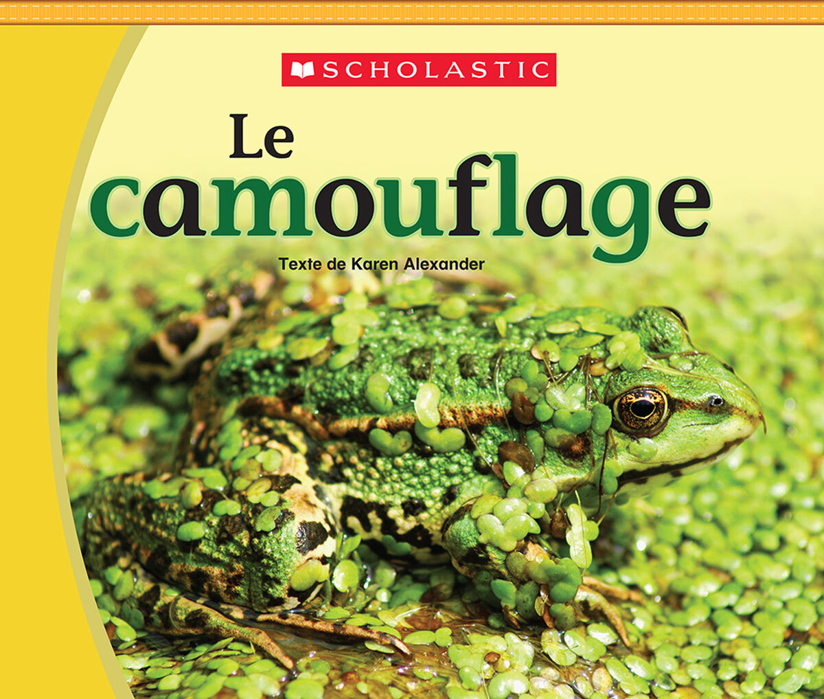 Jour apr&egrave;s jour : Collections toutes faites : Les faits sur les animaux image number 3