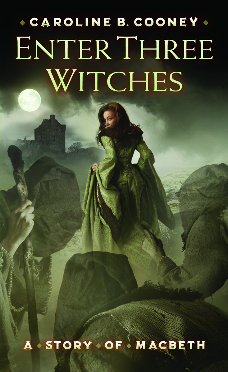 Grade 7-8 Independent Reading Classroom Libraires image number 5