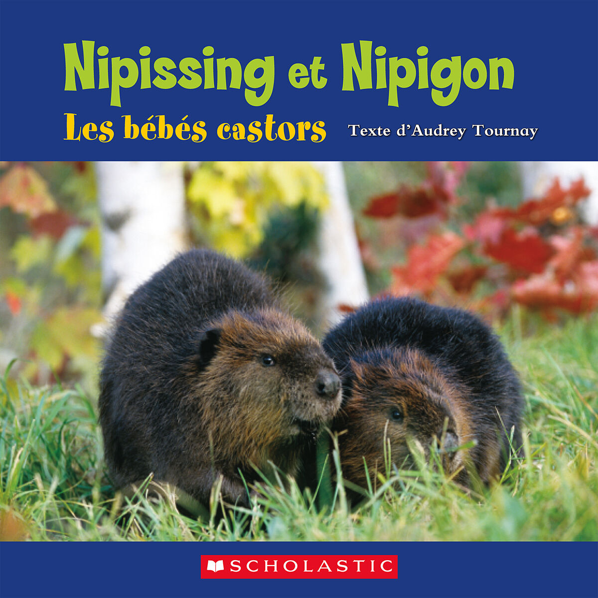 Envol en litt&eacute;ratie Biblioth&egrave;que nivel&eacute;e: Niveaux P-Q image number 5