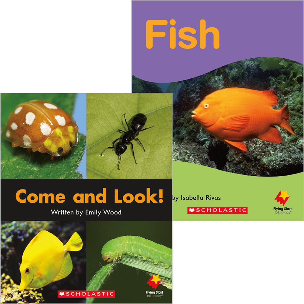 Flying Start: Level B: Come and Look!/Fish 12 Pack image number 0