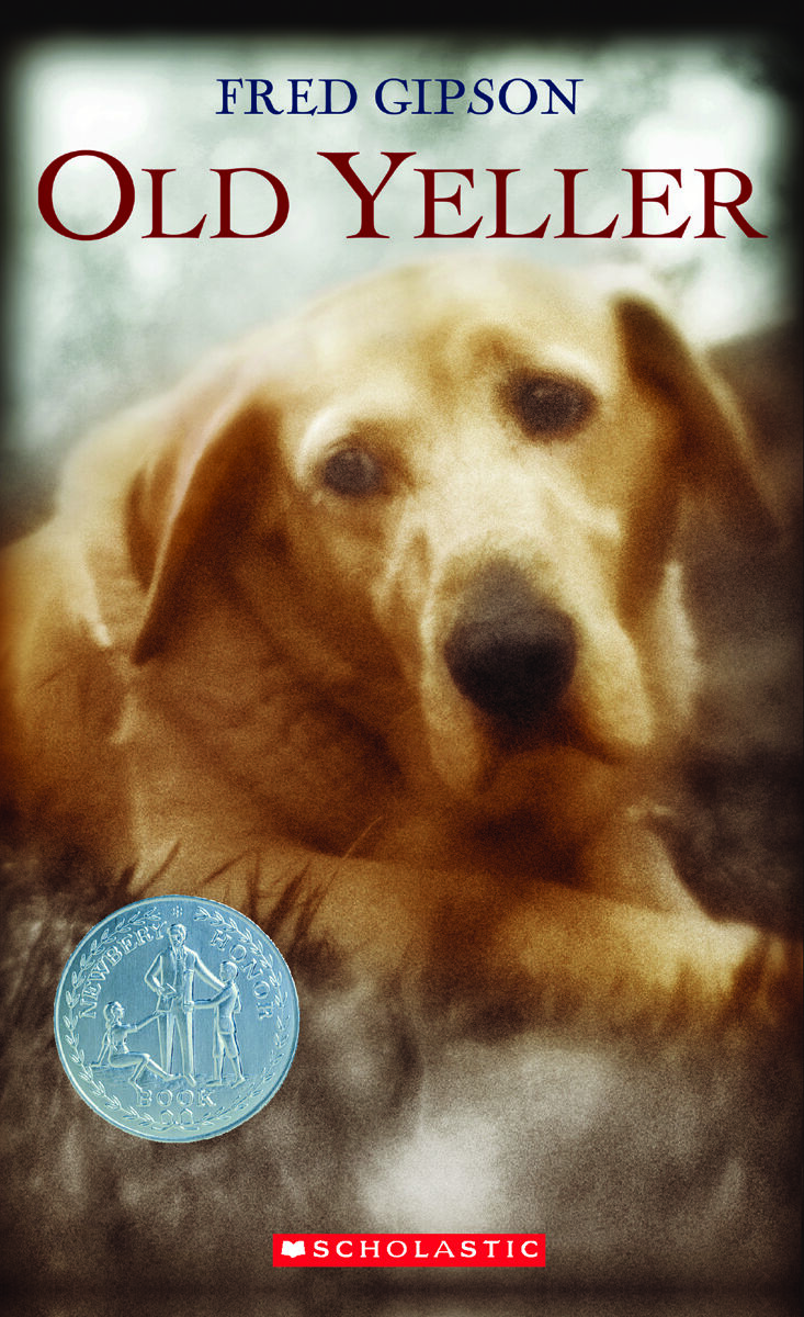 Grade 6 Independent Reading Classroom Libraires: Levels V-Z image number 7