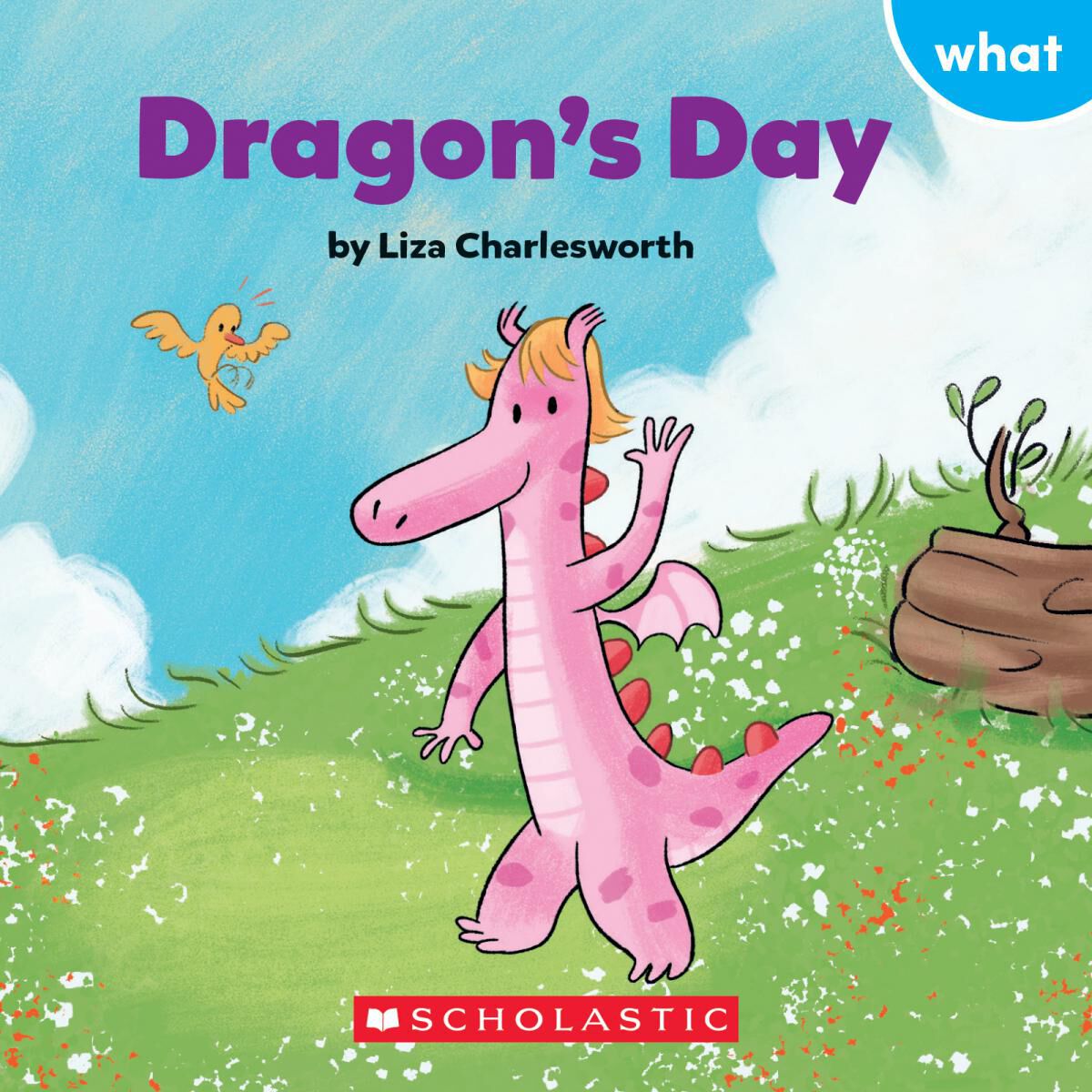 Sight Word Stories Classroom Set: Level B image number 6