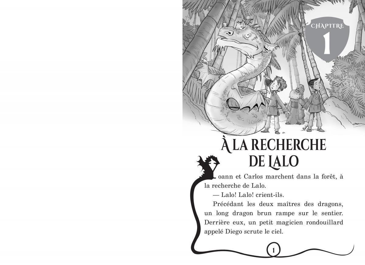 Ma&icirc;tres des dragons : N&deg; 8 - Le cri du dragon du Tonnerre image number 1