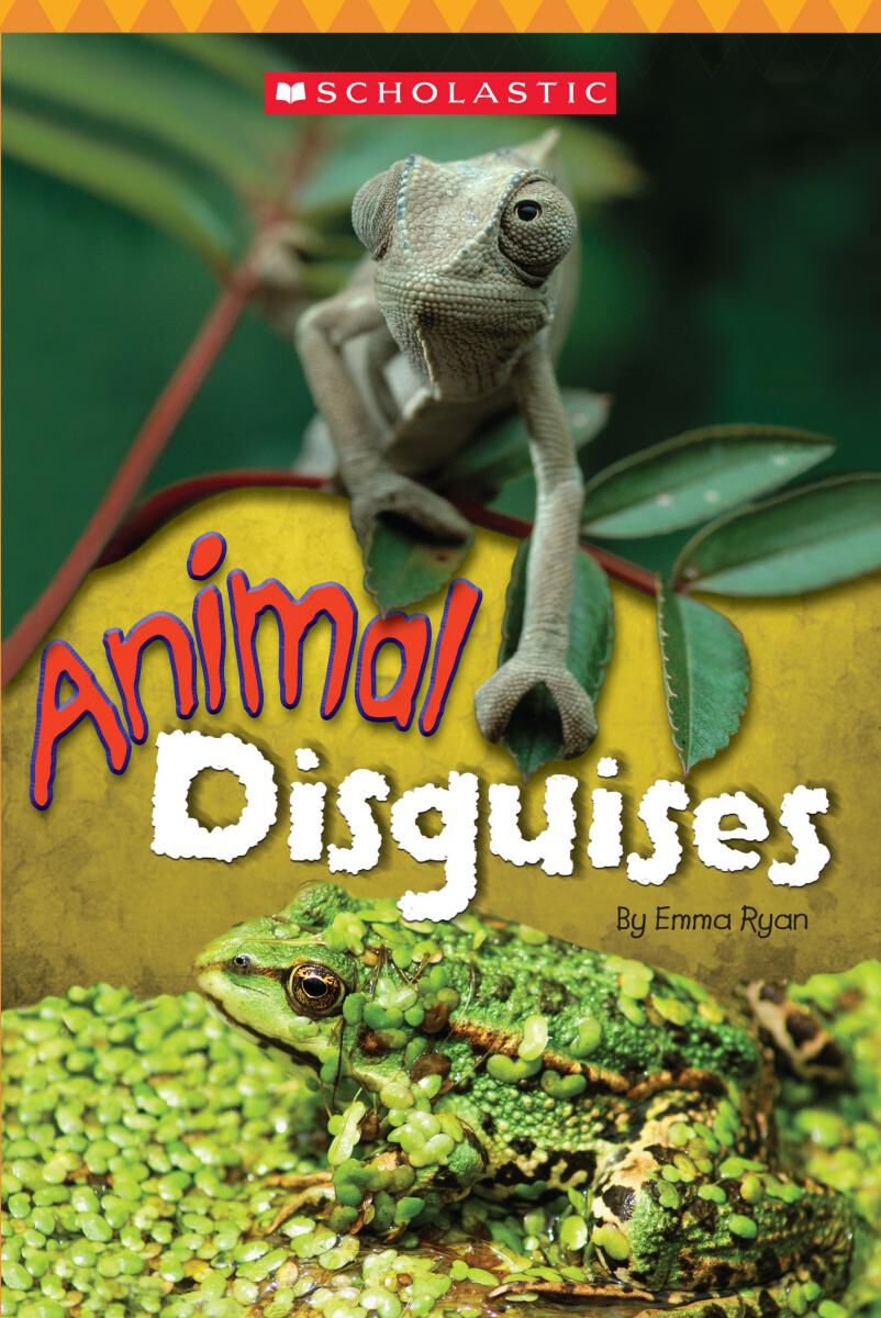 Everyday Book Box 3: Orange Book Box image number 4