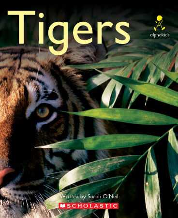 Alphakids: Set 2, Level 13 (H): Tigers 6 Pack image number 1