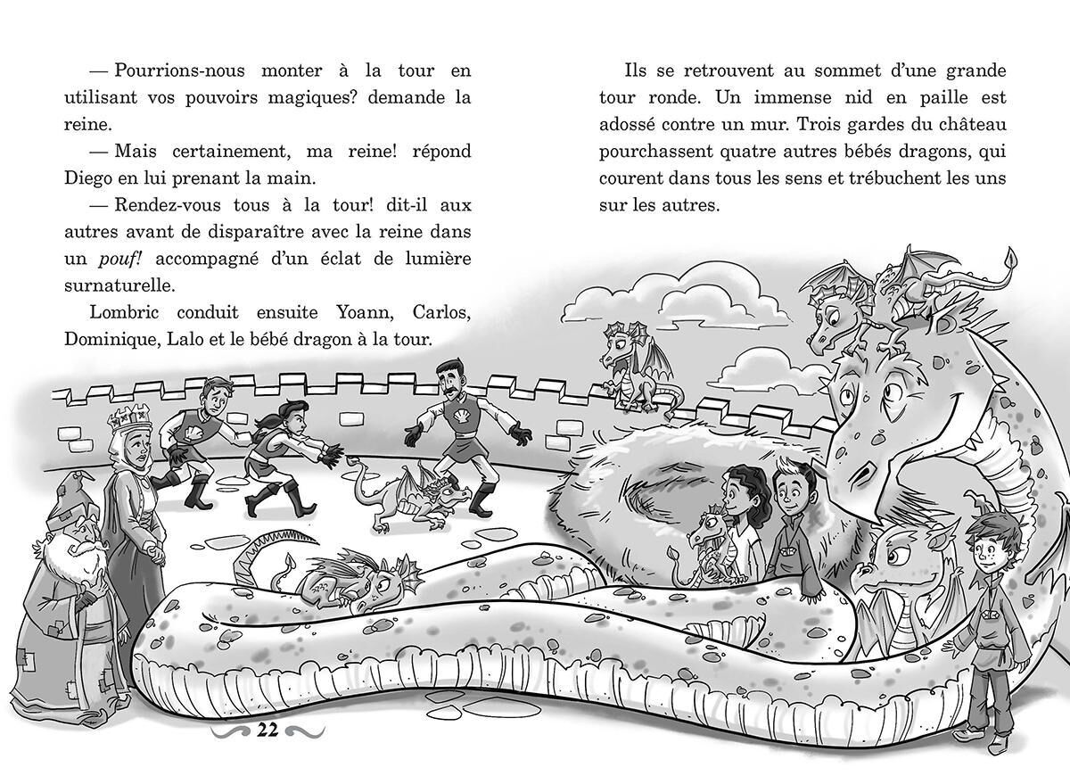 Ma&icirc;tres des dragons : N&deg; 22 - La survie des dragons invisibles image number 1