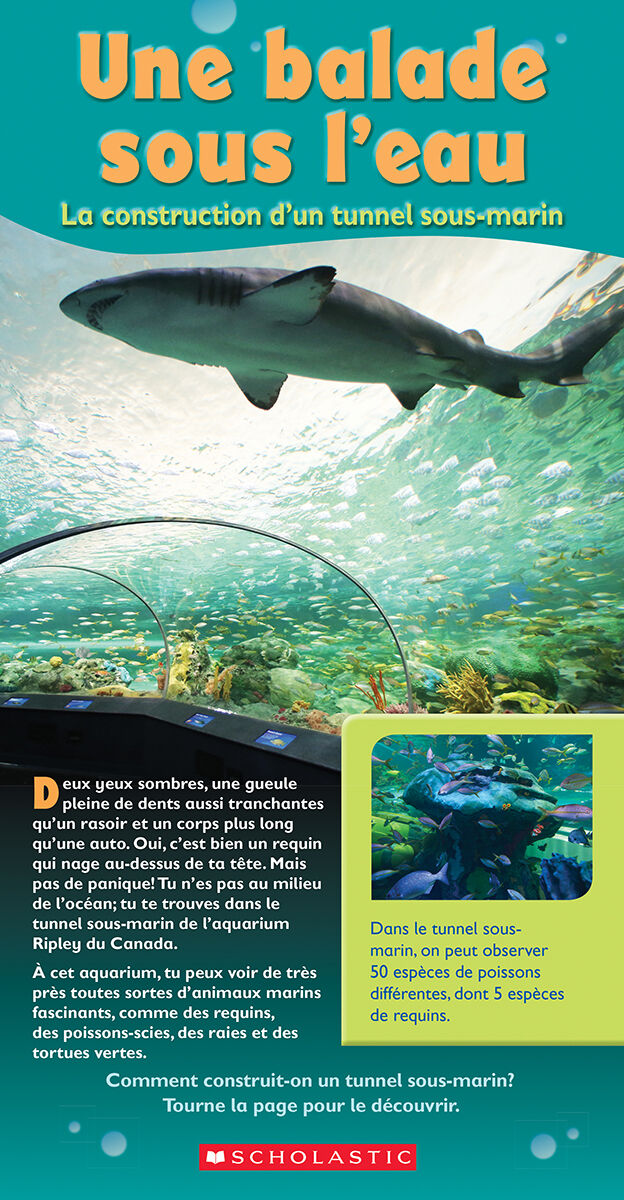 Envol an litt&eacute;ratie Maternelle &agrave; 4e ann&eacute;e: Niveau R: Une balade sous l'eau Emballage de 6 image number 0