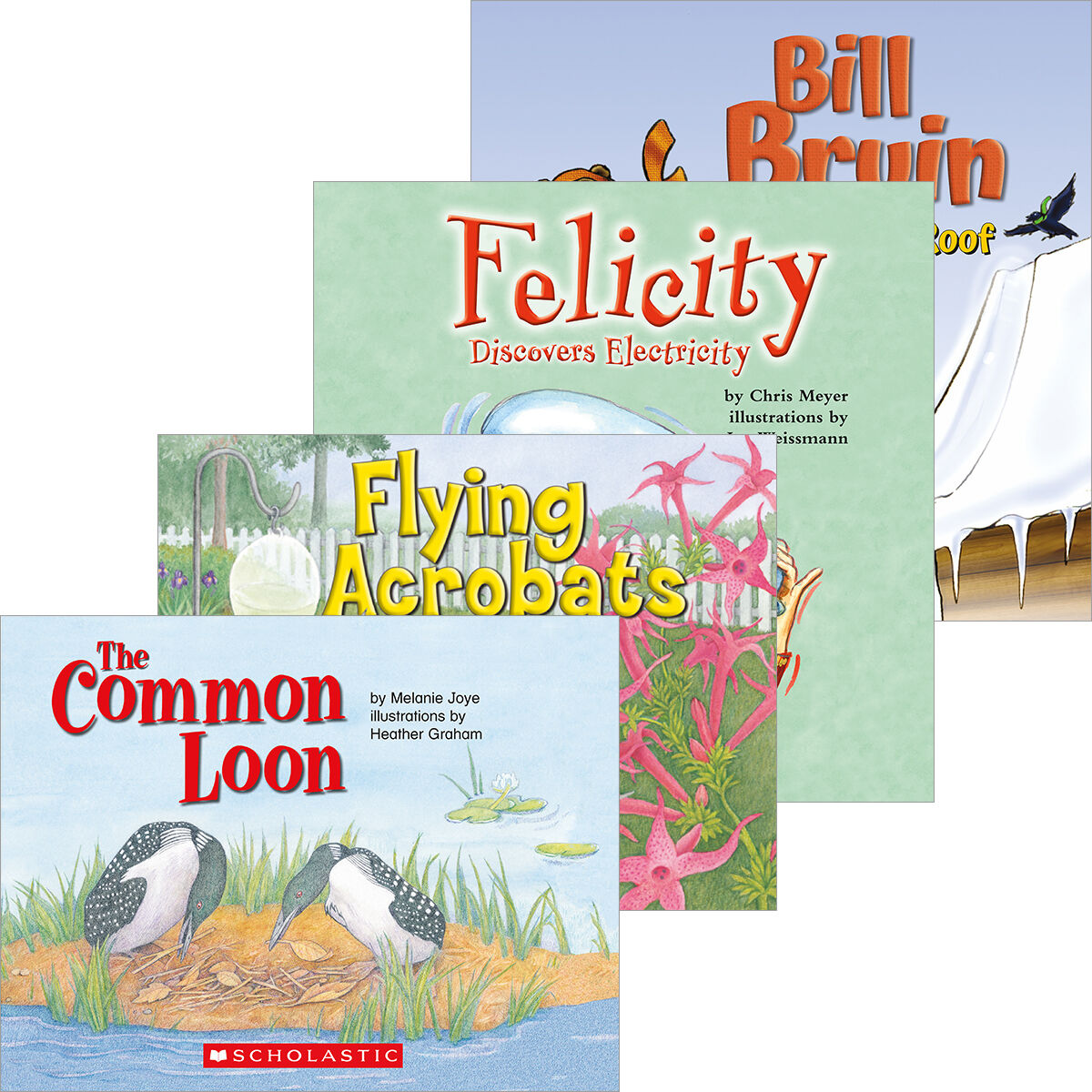 LPEY Levelled Libraries: Level M image number 0