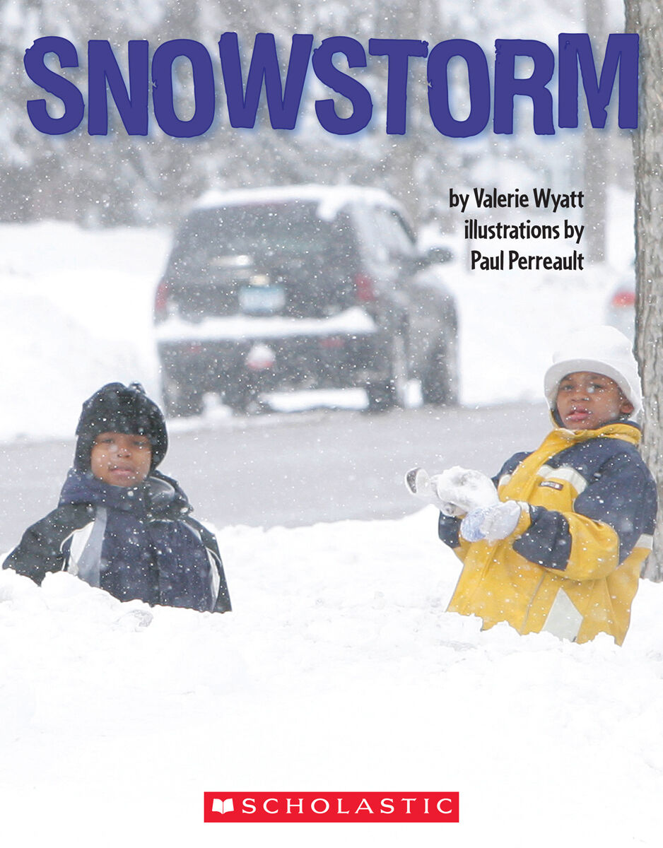 LPEY Levelled Libraries: Level S image number 5