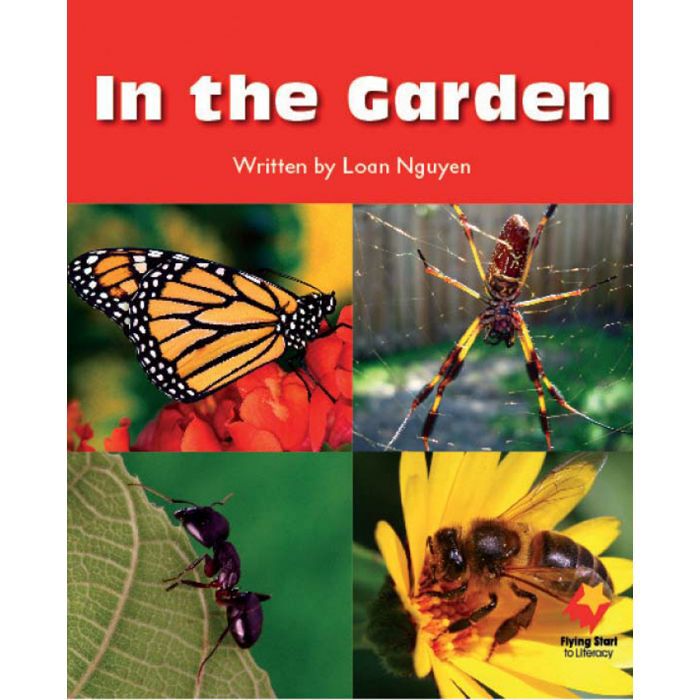 Flying Start: Level A Book Pack image number 6