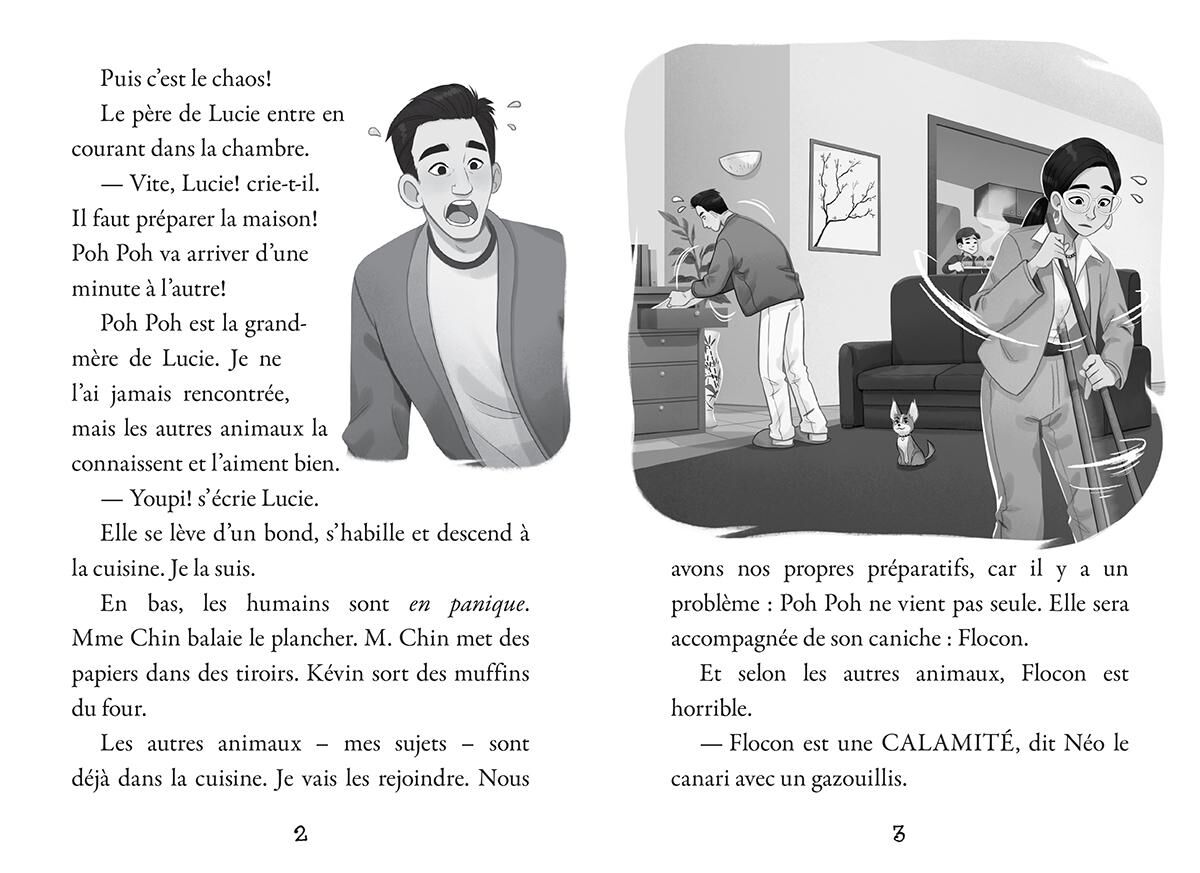 Complot d&rsquo;animaux : N˚ 2 - Caniche de malheur image number 2