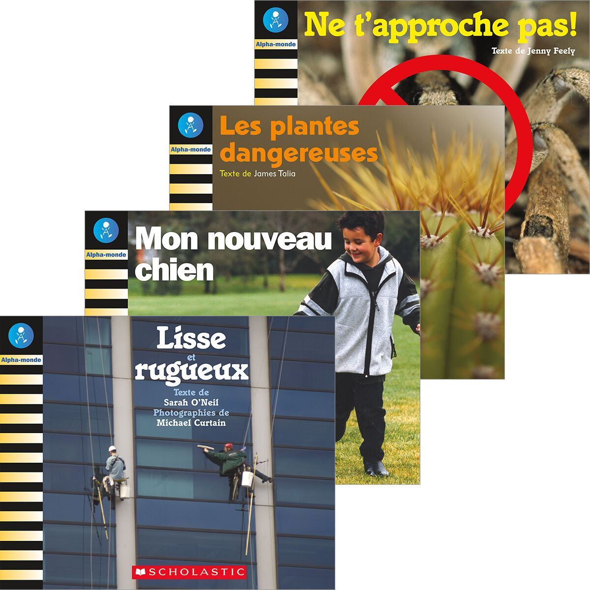 Alpha-monde: Emballage Niveau 6 (D)